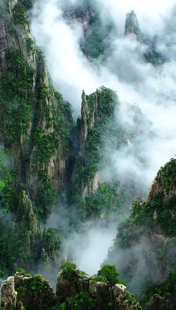 黃山又一次震驚全國！恍如人間仙境，美到極致！
